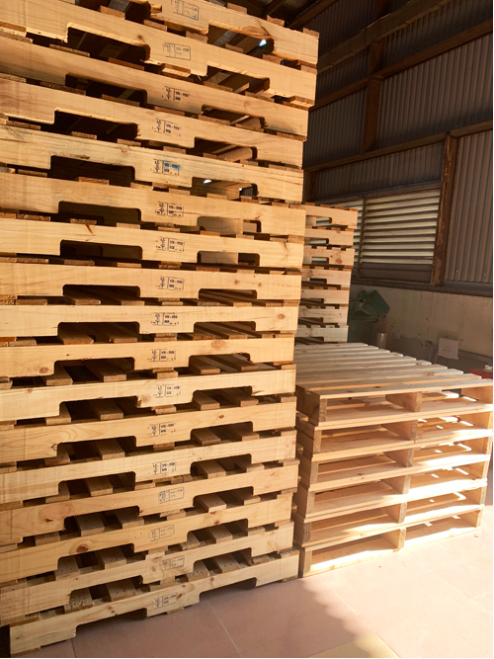 Có nên dùng pallet gỗ thông ở Việt Nam?